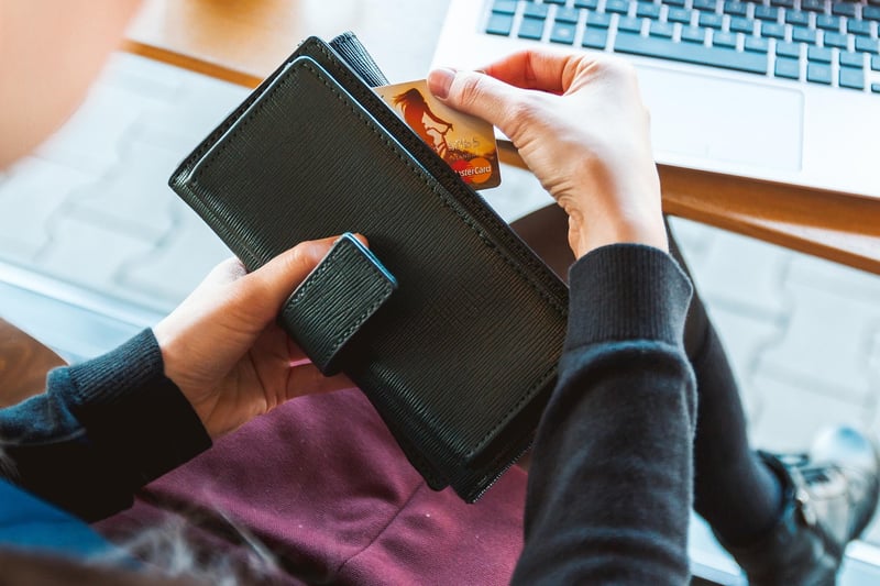 Travel Wallet